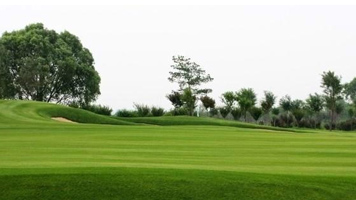 �����ƺ�r��Ӱ�����֮�����ƺ�ײ�